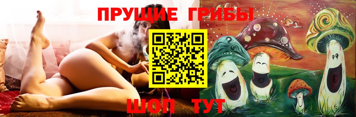 Сафоново  Галлюциногенные грибы MAGIC MUSHROOMS  Вход с VPN 